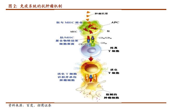 767stock.com20140715164649