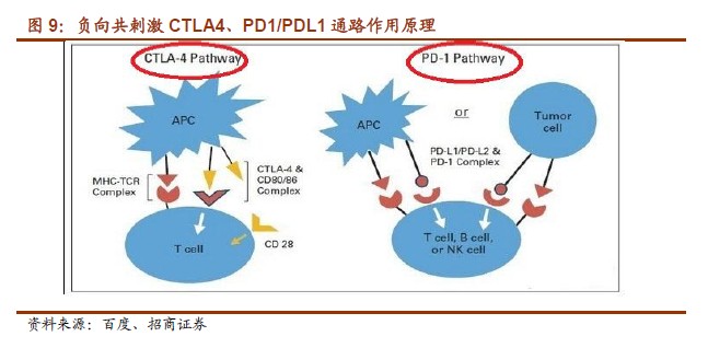 767stock.com20140715164725