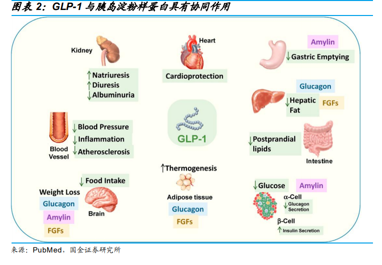 GLP-1 Therapy & Sustainable Lifestyle Integration