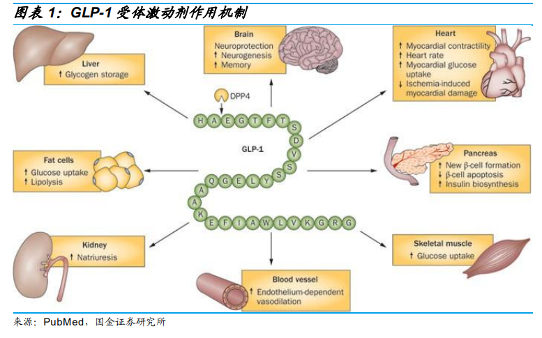 GLOW Peptide Blend Dosage Guide: How Much to Take, Frequency & Protocol ...