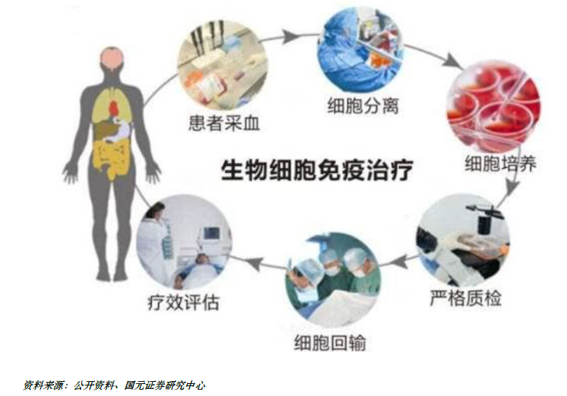 【行业】免疫细胞疗法将迎来新一轮爆发(32页)