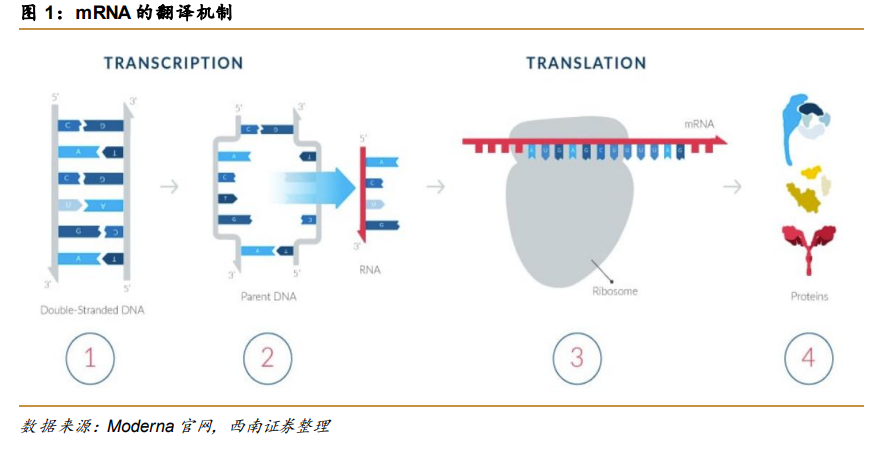 乐晴智库 | 深度行业研究